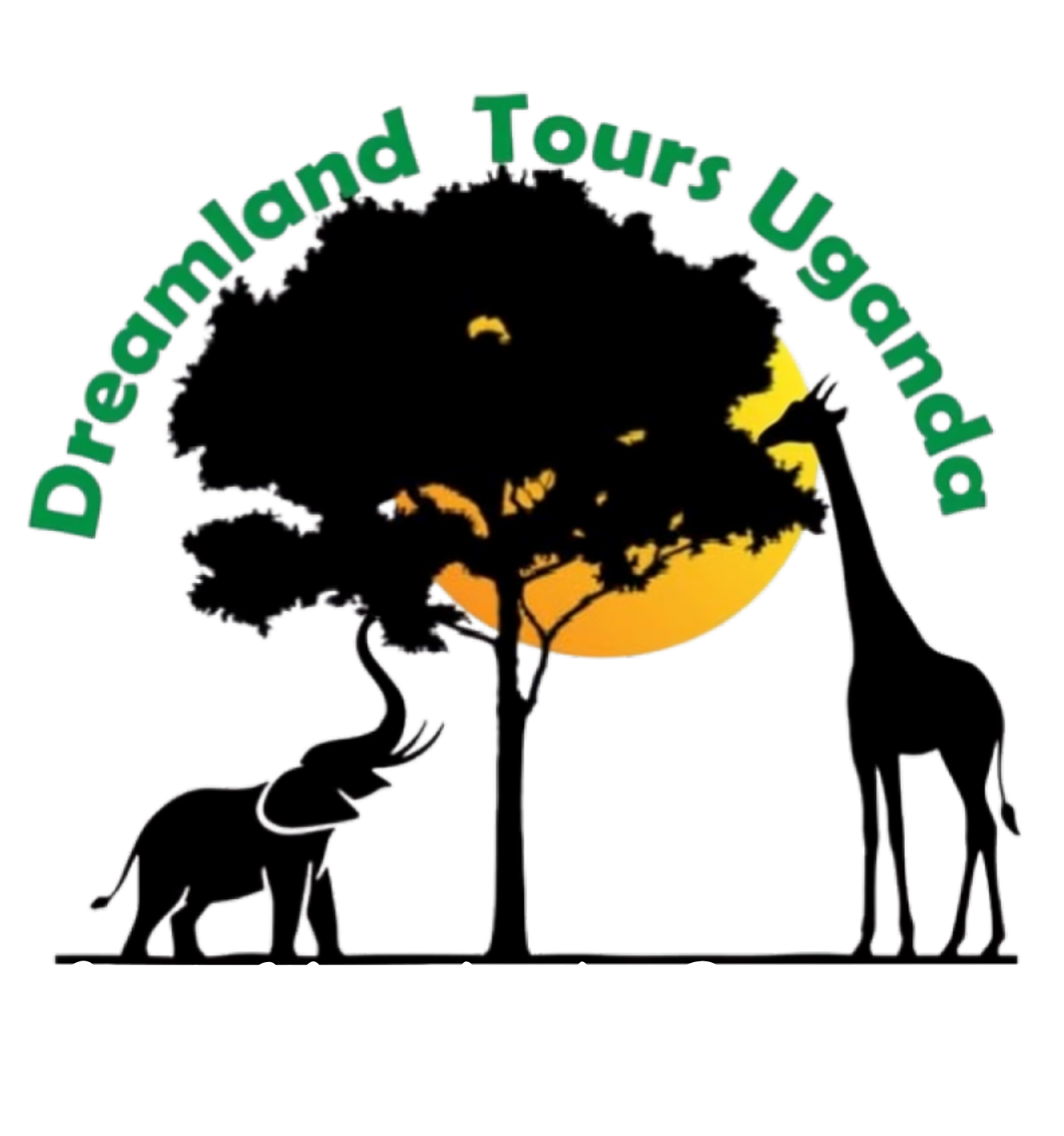 Dreamland Tours